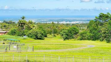 A grassy field with a curved path, a fenced area, and a distant view of a coastline.
