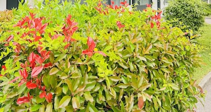 Kyriad Annecy Nord - Epagny