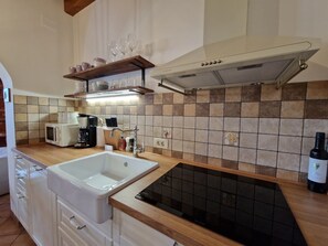 Full-size fridge, microwave, stovetop, dishwasher - Wine & Apartment VINALES (Koper)