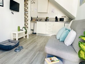TV
