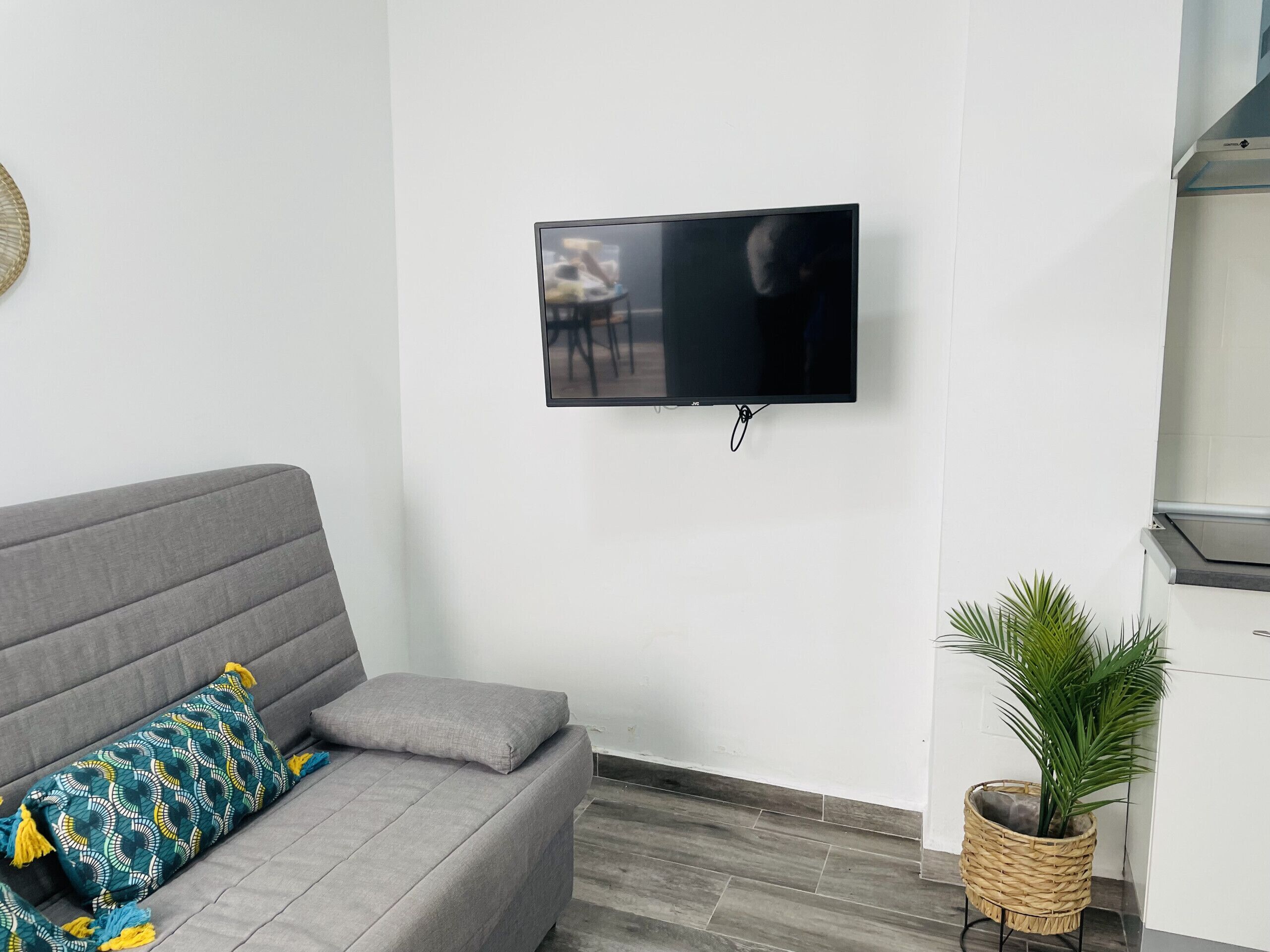 Een moderne woonkamer met een grijze bank, een flatscreen televisie aan de muur en een potplant.