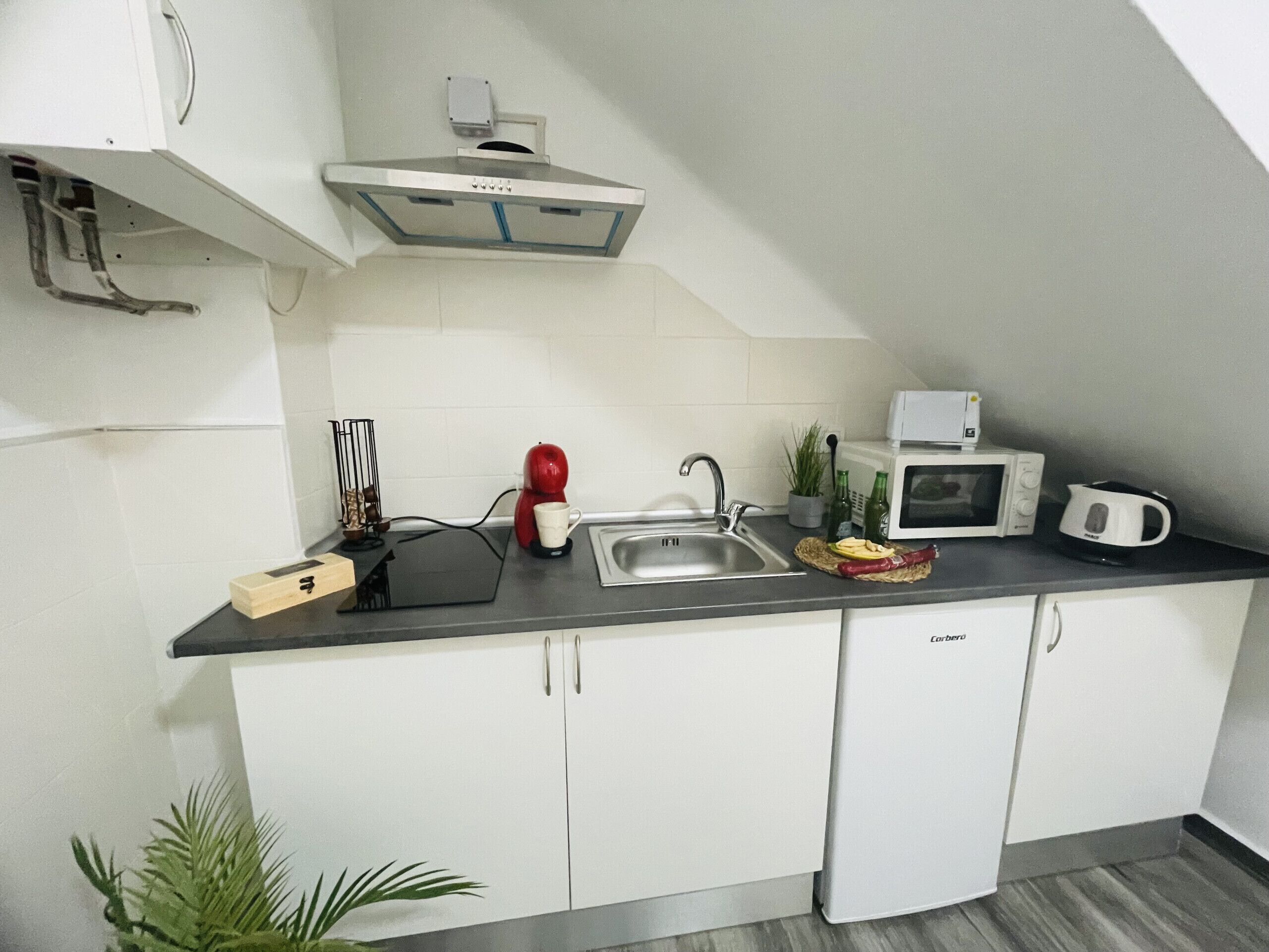 Frigorífico, microondas, cafetera o tetera y tostadora