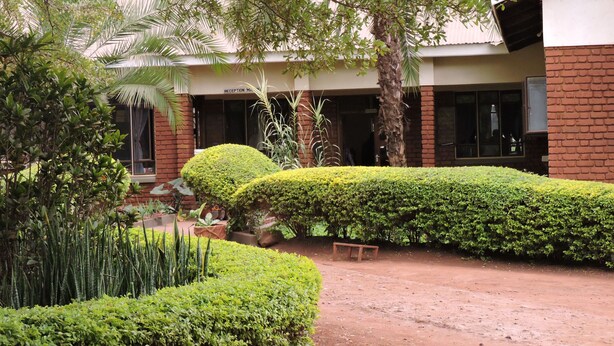 Edifici amb una zona de recepció, envoltat de setgecs ben cuidats i diferents plantes.