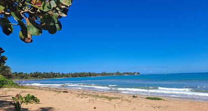 Crab Shack Condo at the Beach! Newly renovated! Beachfront with pool!