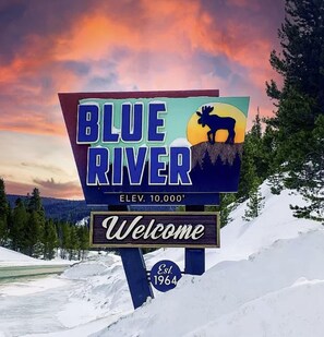 Property grounds - SkiHytte🎿 Scandinavian Cabin 🪵 Forest Views 🌲 Pets OK 🐶 $0 Cleaning Fee (Breckenridge)