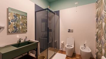 Shower, hair dryer, bidet, towels