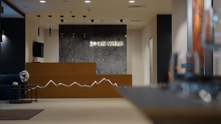 Reception. Hotel Sorin Mihai