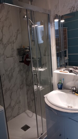 Shower, hair dryer, soap, toilet paper