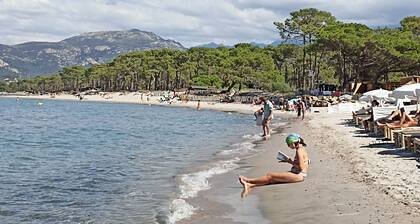 A 150 m de la Plage, Dans la Pinède, Charmant Appartement, Idéal Pour 4 Pers