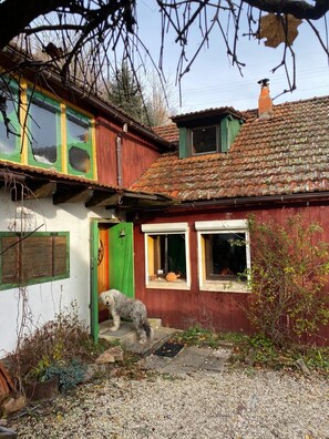 Exterior detail - Chalet Cosy Pleine Nature en Lisière de Forêt (Plainfaing)