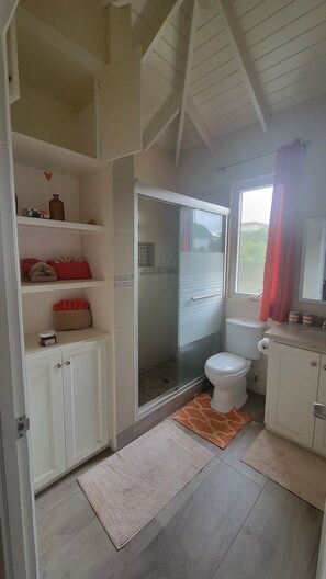 Shower, towels