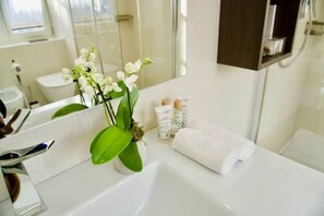 Een douche,  milieuvriendelijk toiletgerief, een haardroger, een bidet