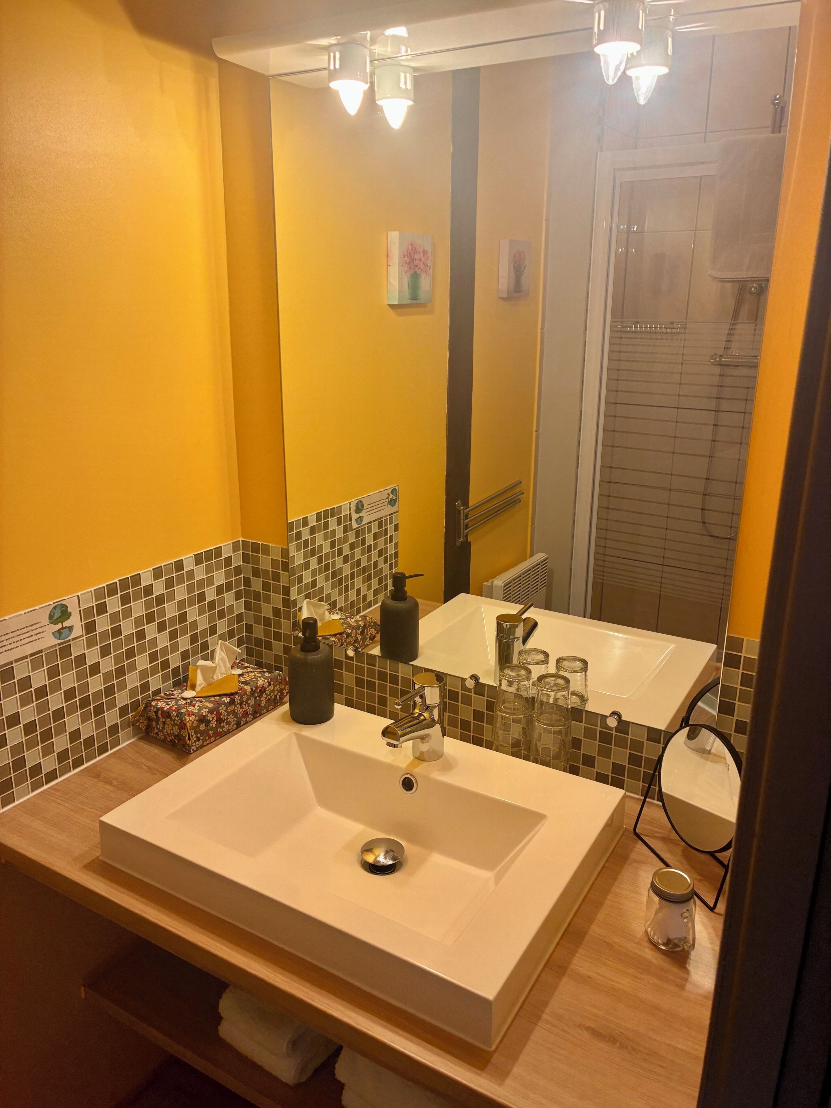 Un bagno con un lavandino bianco capiente, uno specchio, un porta asciugamani e una zona doccia.
