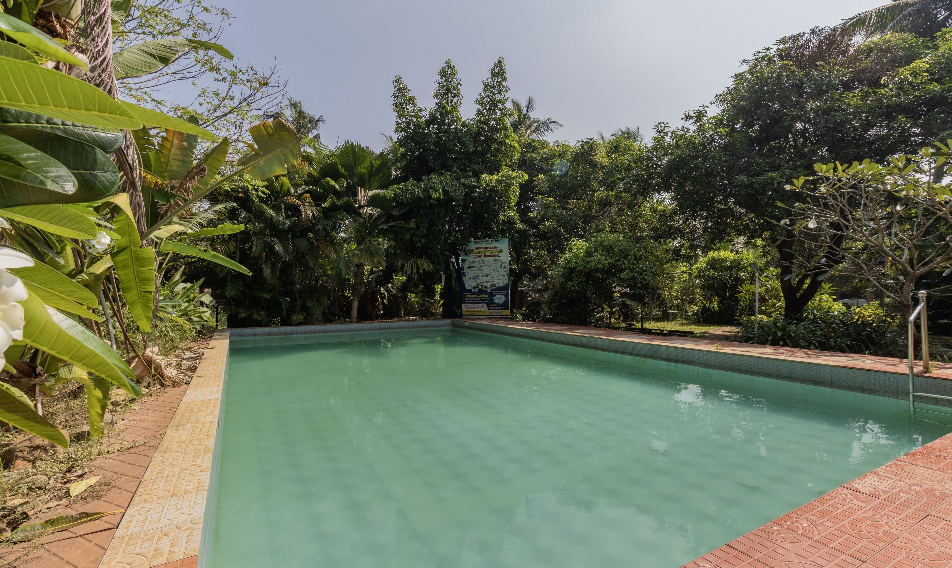 A swimming pool surrounded by lush greenery and a tiled walkway.