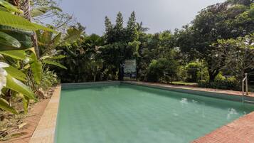 A swimming pool surrounded by lush greenery and a tiled walkway.