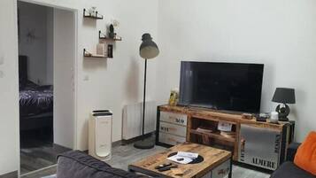 Smart TV, DVD player, books