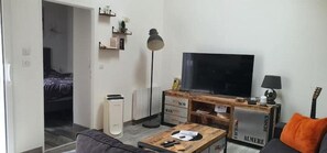 Smart TV, DVD player, books