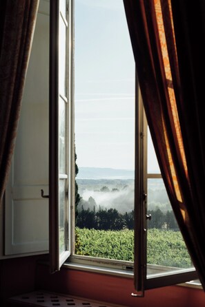 Premium bedding, down comforters, individually decorated - Buonvisi B&B (Lucca)