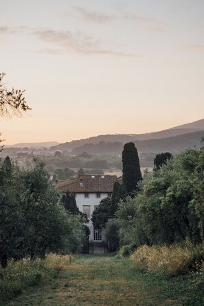 Garden - Buonvisi B&B (Lucca)