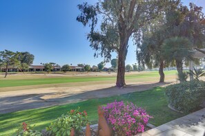 Lägenhet (1 Bedroom) | Interiör