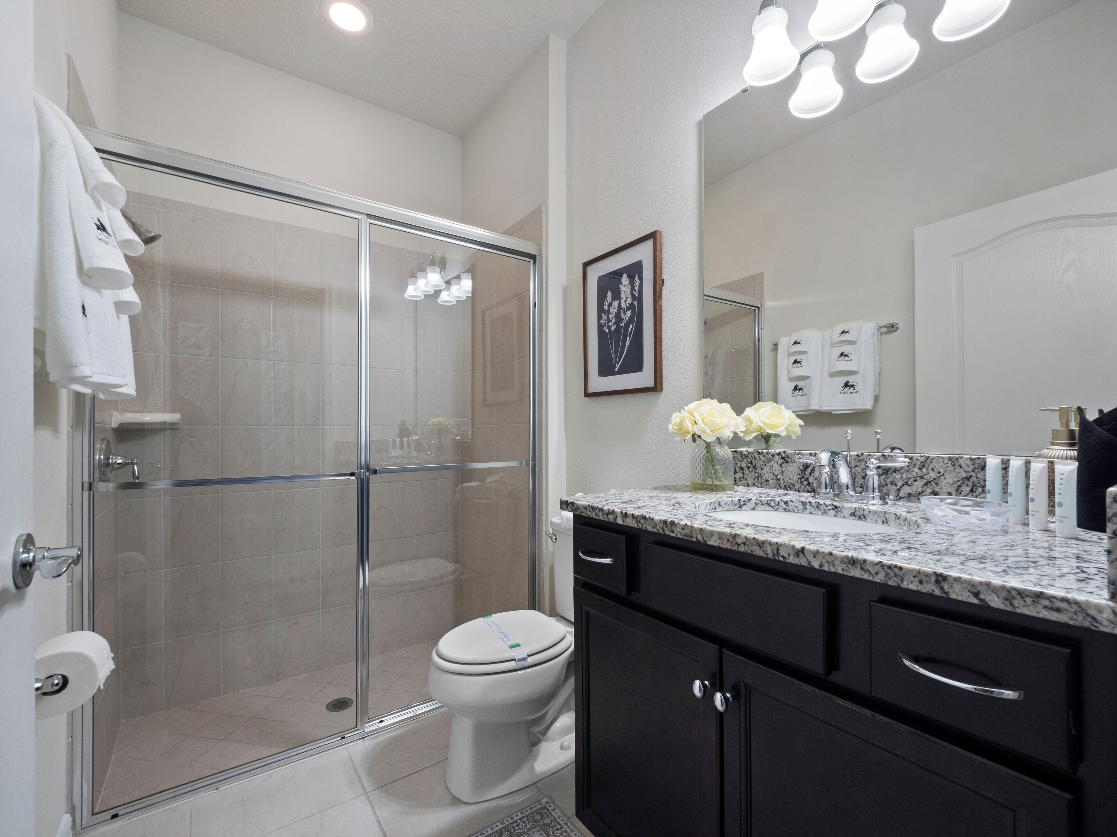 A modern bathroom with a glass-enclosed shower, a white toilet, and a marble countertop with a sink and vanity.