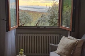 A room with a large window overlooking a landscape, a radiator, and a chair with a cushion.