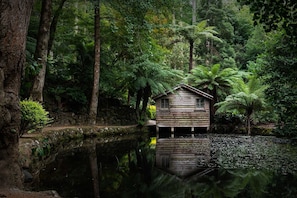 Property grounds - Luxury Treetop Escape with a Garden glasshouse (Kalorama)