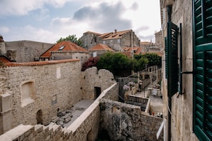 Vista desde la propiedad