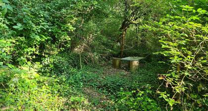 Naturoase SĂ€ntisbligg am Wald und Bach - Auszeit fĂŒr Körper und Seele