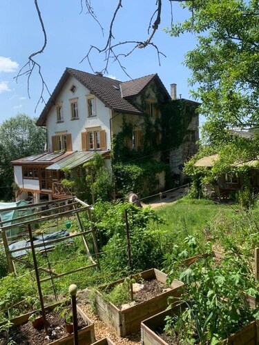 Naturoase Säntisbligg am Wald und Bach - Auszeit für Körper und Seele