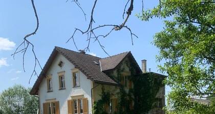 Naturoase SĂ€ntisbligg am Wald und Bach - Auszeit fĂŒr Körper und Seele