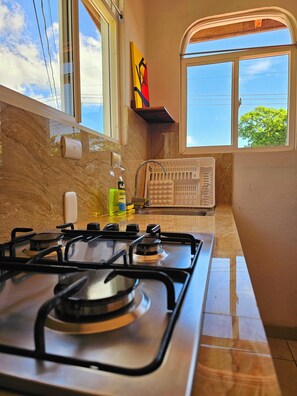 Fridge, microwave, stovetop, coffee/tea maker