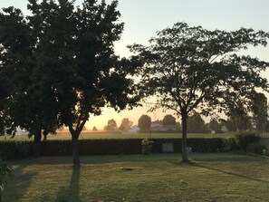 Área da propriedade