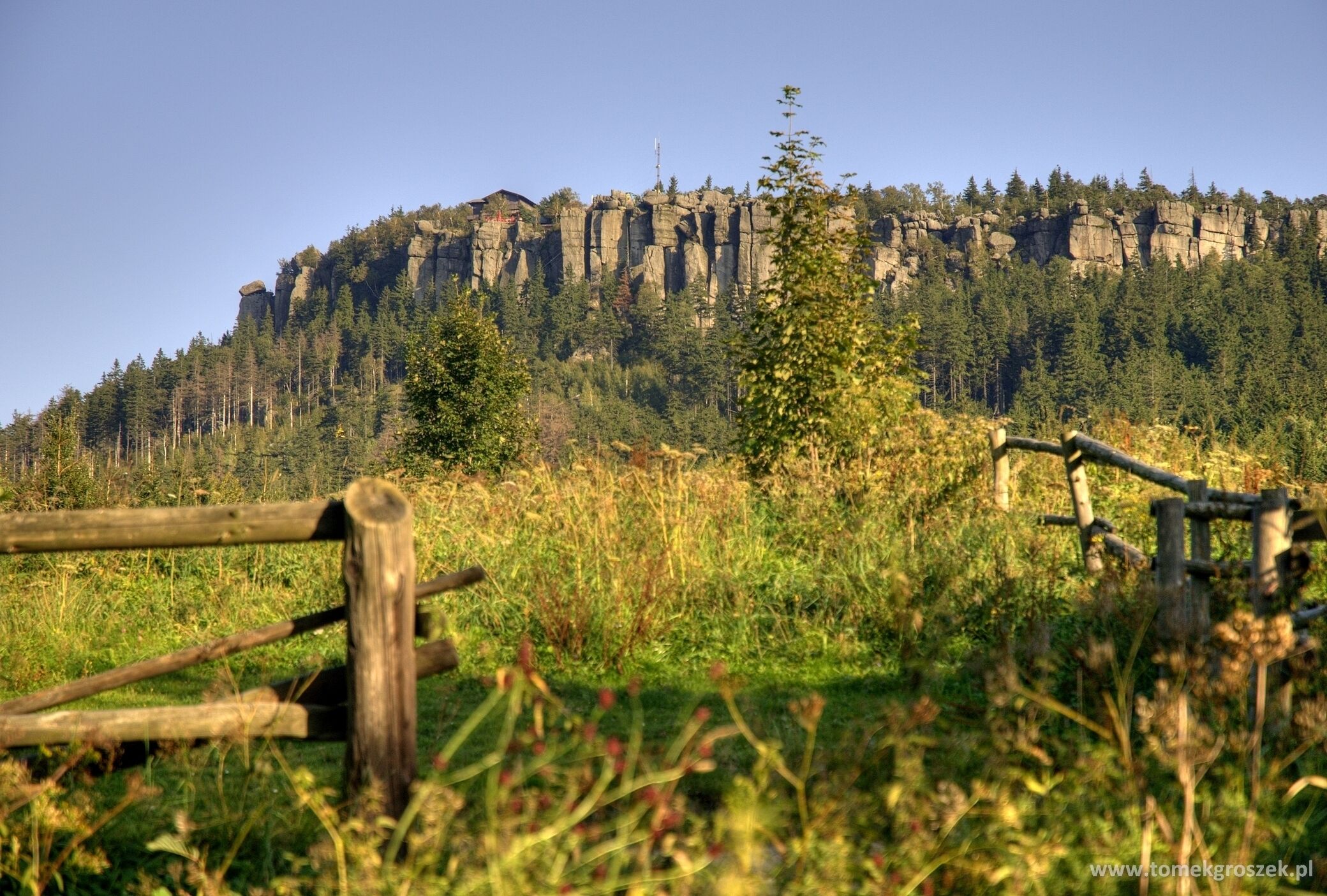 SIELANKOWNIA for Dog Lovers -  in the amazing Table Mountains National Park