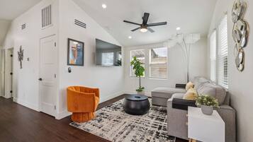 Smart TV, computer monitors