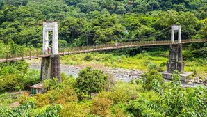 A suspension bridge over a river with dense forest in the background. - Hsinchu Peace (Zhubei)