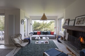 Televisión, chimenea y reproductor de DVD 