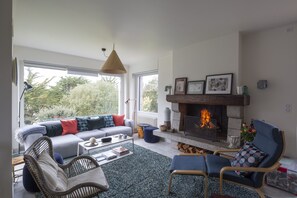 TV, fireplace, DVD player