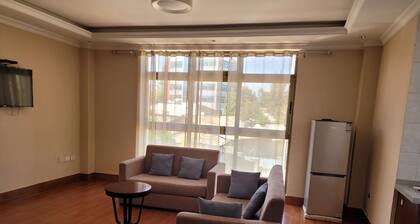 QueenMpalace Furinshed Apartments for short and long term close to Bole Airport