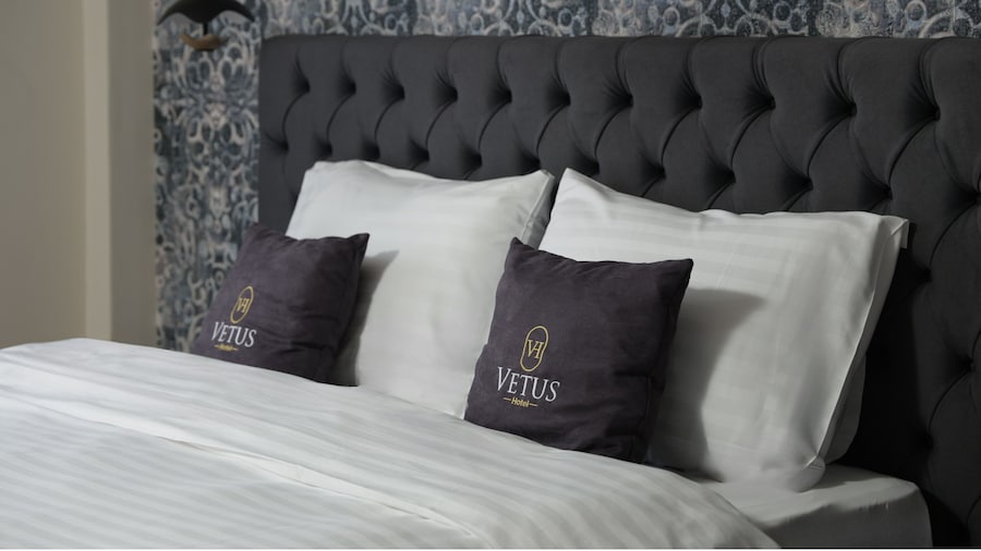 Vetus Hotel