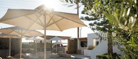 A poolside area with lounge chairs and umbrellas, a stone wall, and a modern building with a glass door.