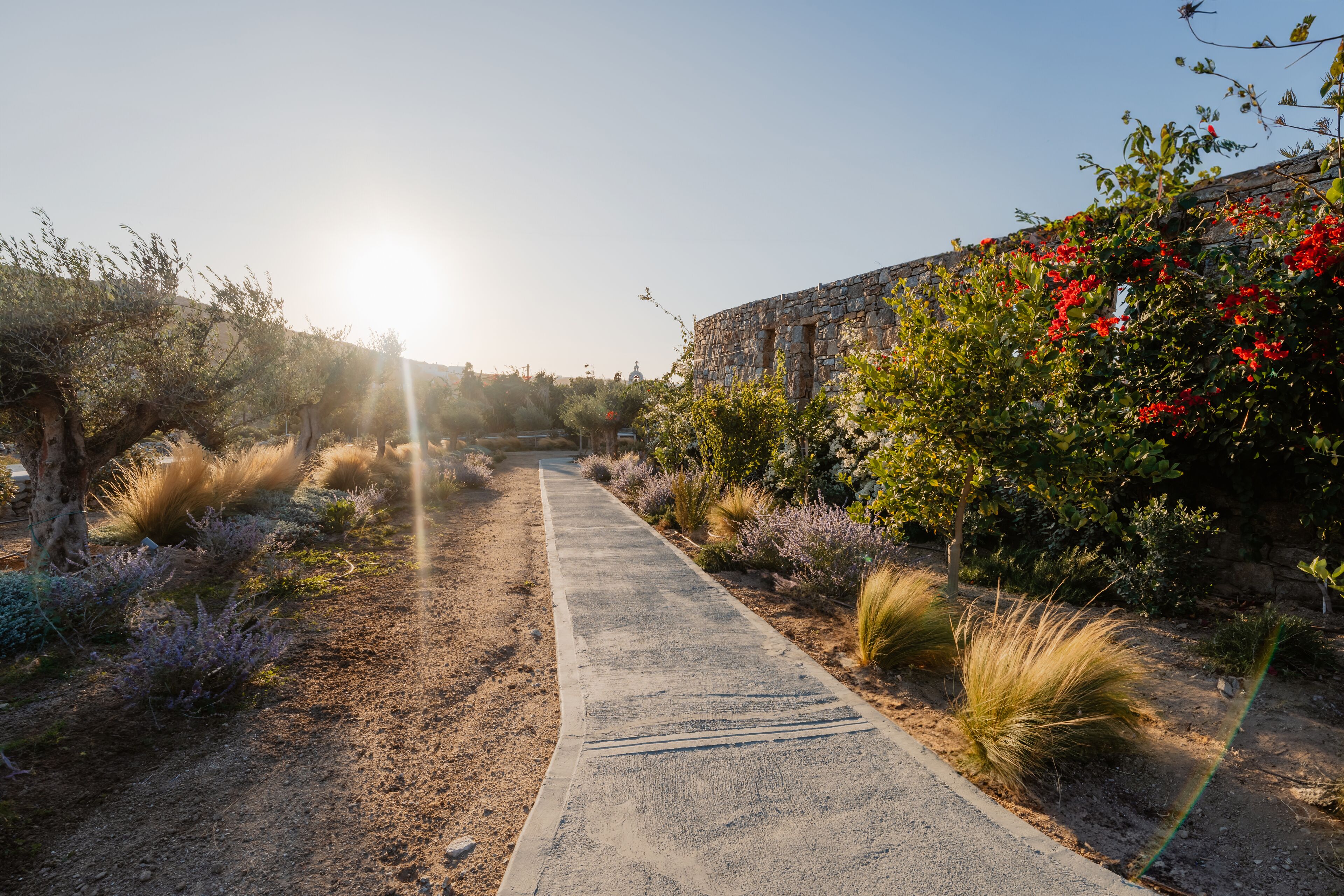 Foto - Oliving Mykonos Luxury Suites
