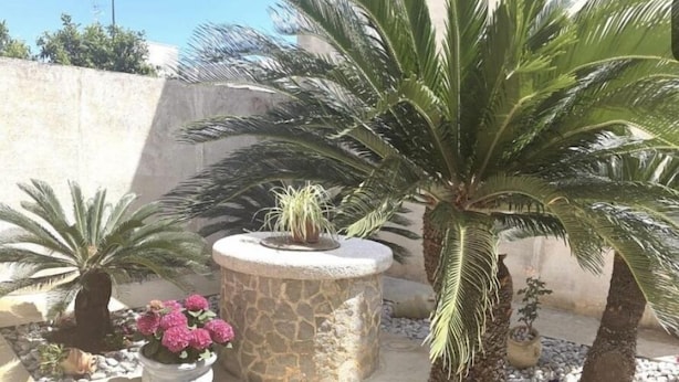 Exterior - La Cycas (San Vito Lo Capo)