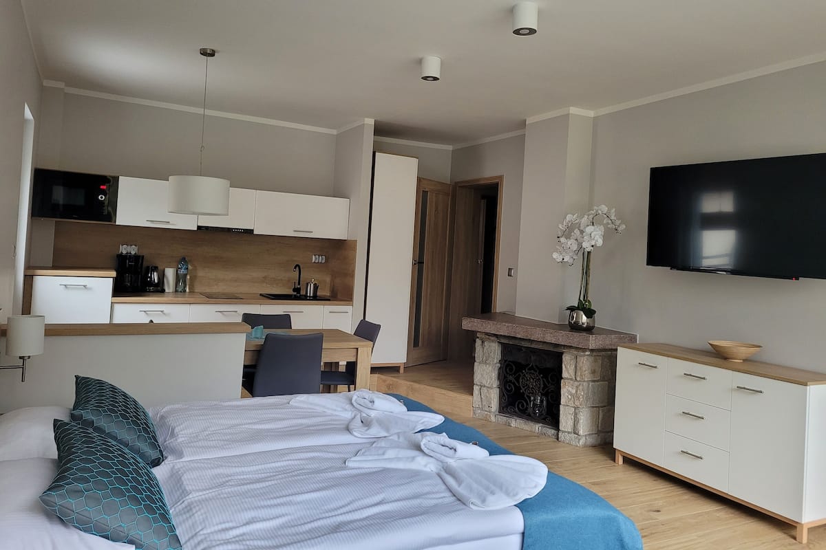 Une chambre d’hôtel moderne équipée d’un lit, d’une télévision, d’une kitchenette et d’une cheminée.