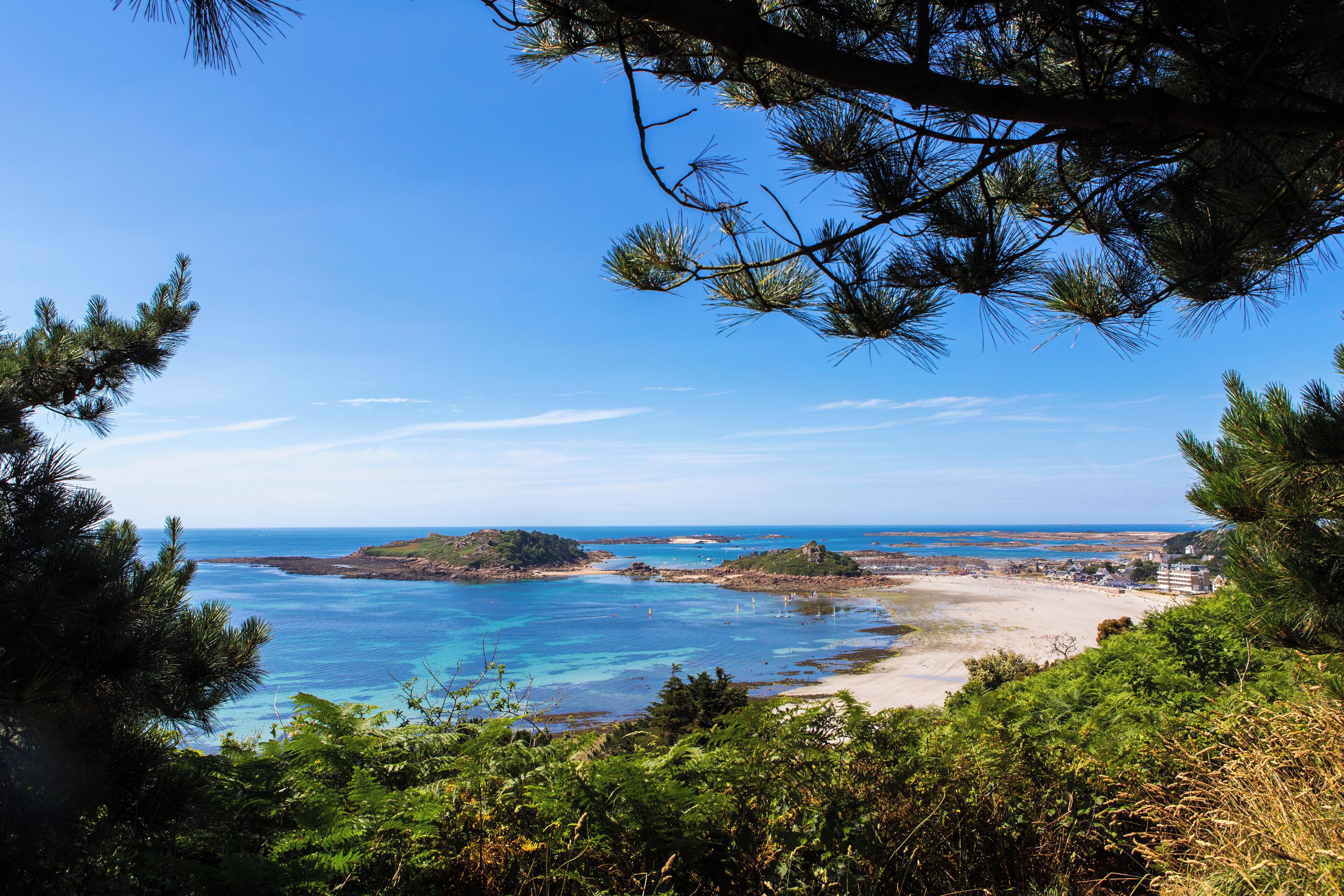 Eine Küstenlandschaft mit klarem, blauem Wasser, Sandstrand und dichter Vegetation.