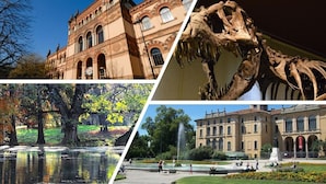 Un bâtiment à l’architecture classique, un grand squelette de dinosaure, un parc avec une fontaine et une statue sur une place.