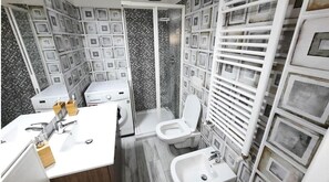 Regadera, secadora de cabello, bidet, toallas 