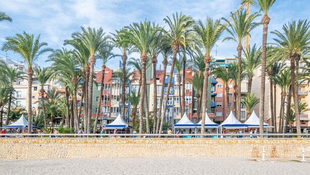 Une plage bordée de palmiers, un mur de pierre et des bâtiments colorés dotés de balcons.