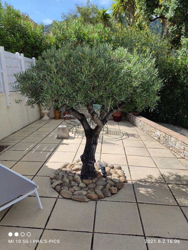 Terrace/patio - Gîte de Vacances à Cavalaire sur mer (Cavalaire-sur-Mer)