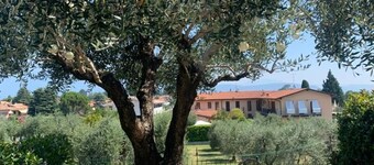 Corte Degli Olivi - Wenn es Etwas Besonderes Sein Soll